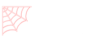 Spidey Shot